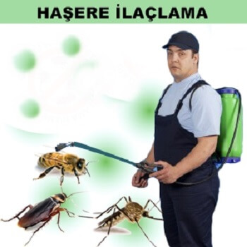 Evka 1 Böcek İlaçlama
